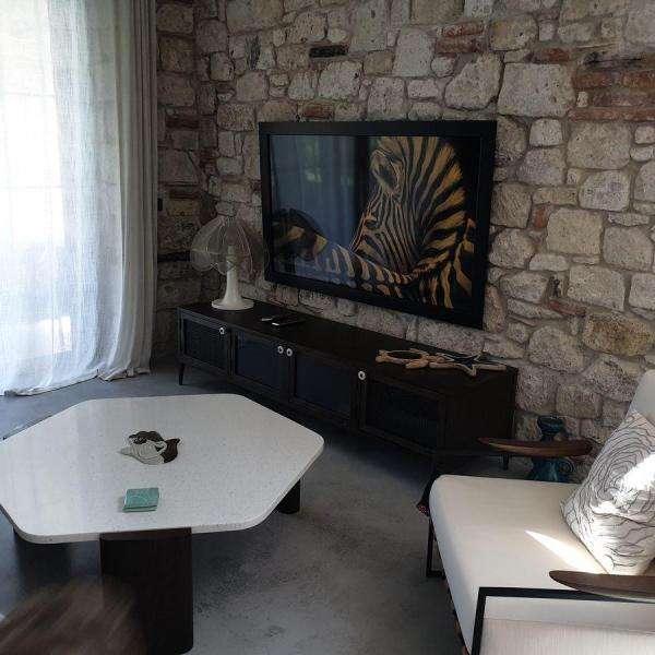 Aşkın Bey Villa Projesi