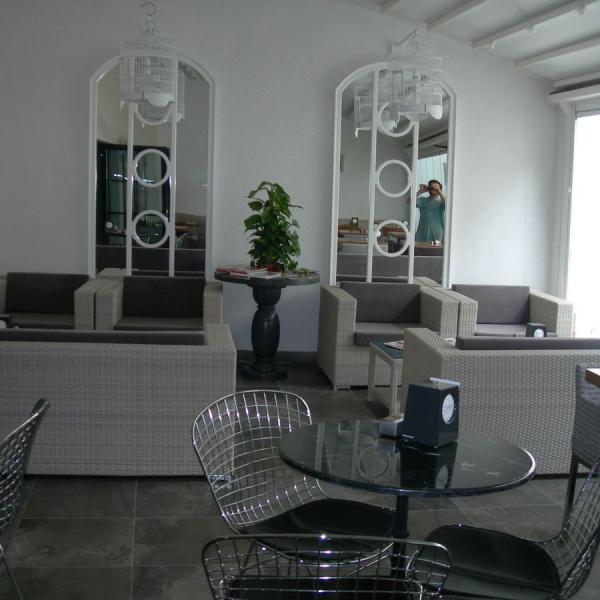 Scholots'ys Cafe Projesi